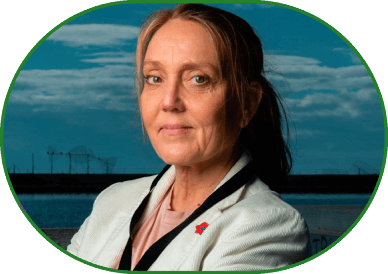 Portrait of the film director